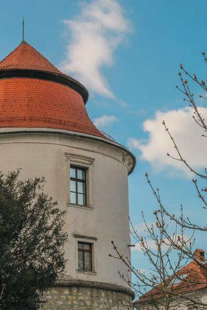 Grad Brežice
