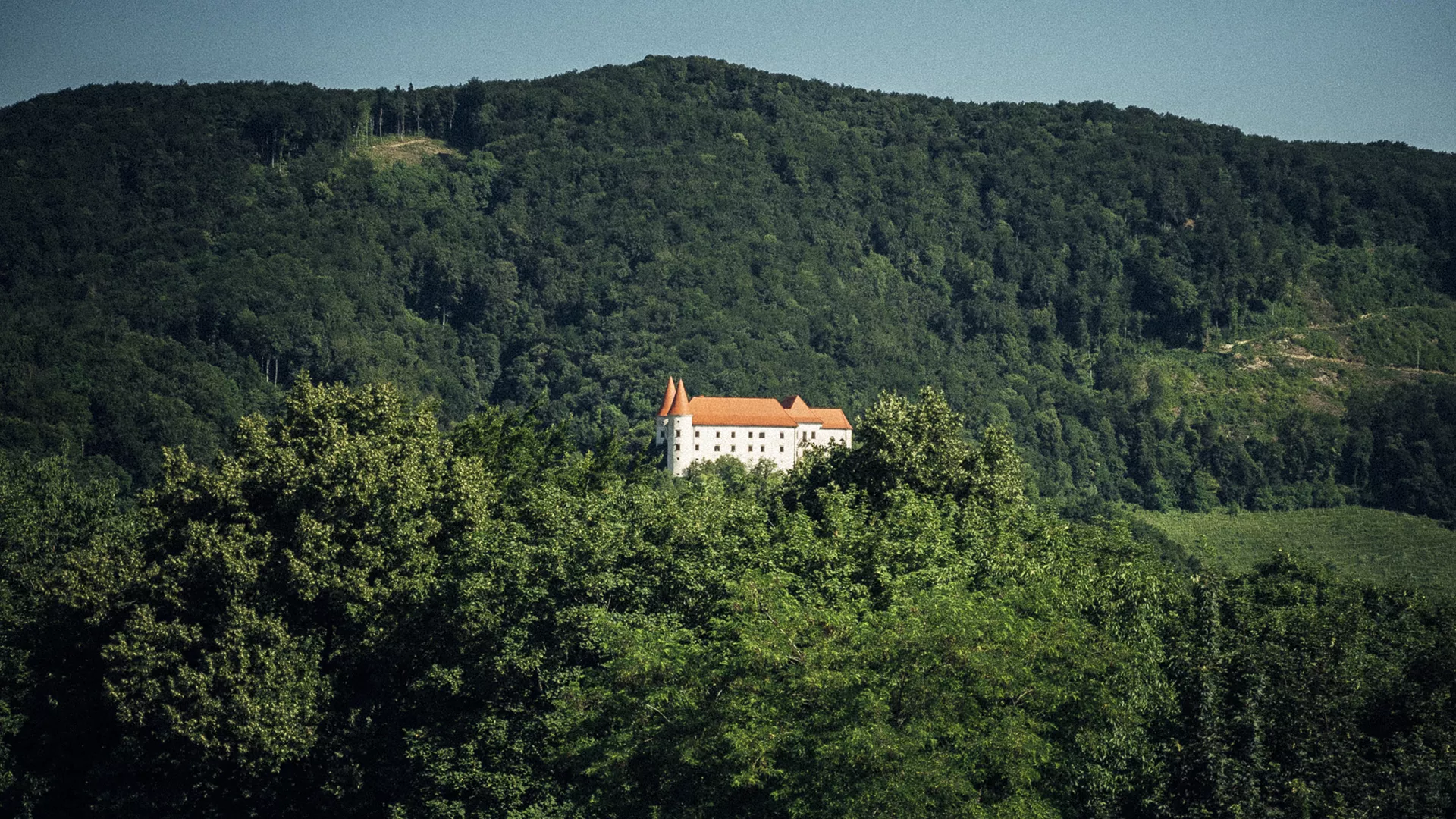 Grajska pot na Bizeljskem