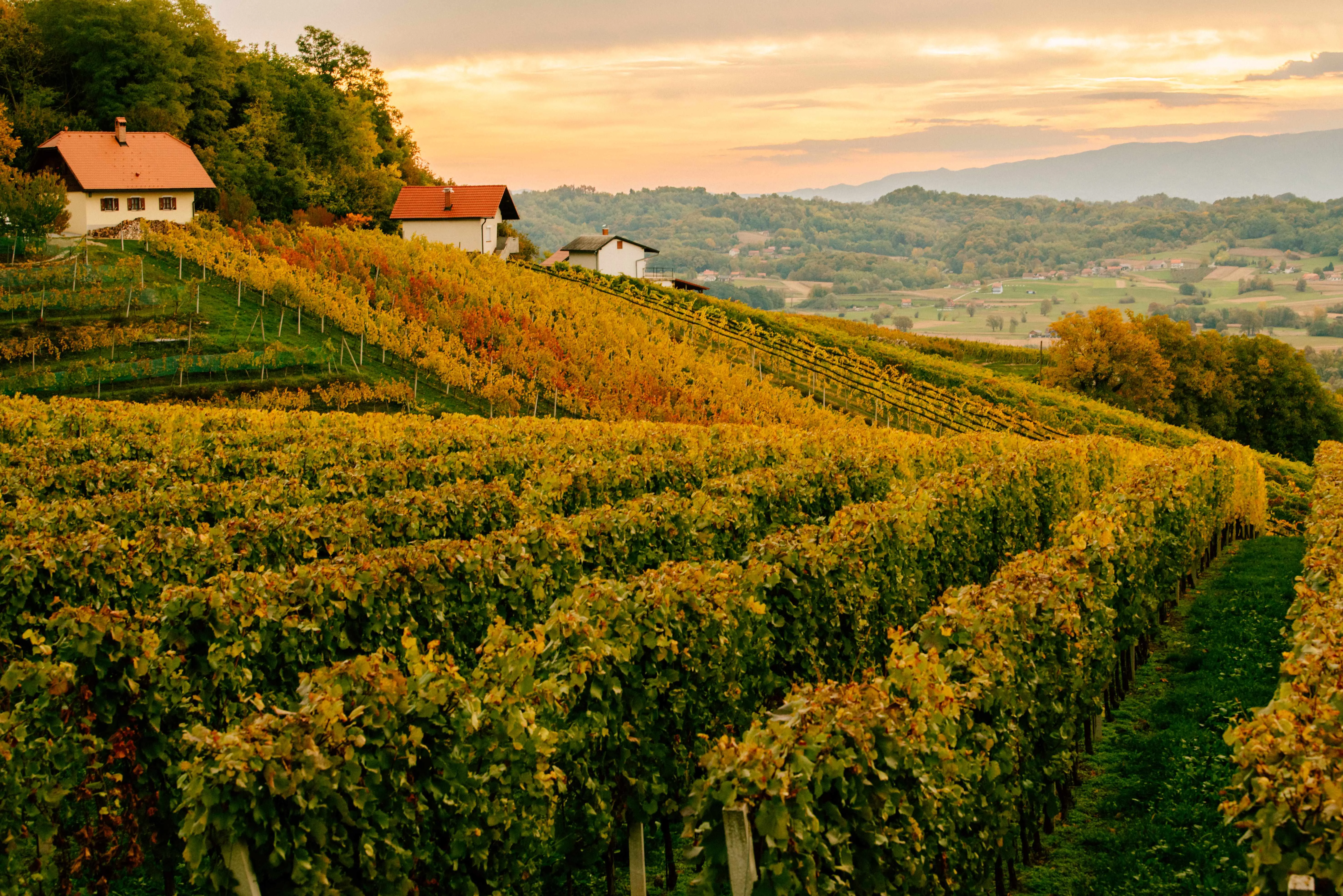 Grajska pot na Bizeljskem
