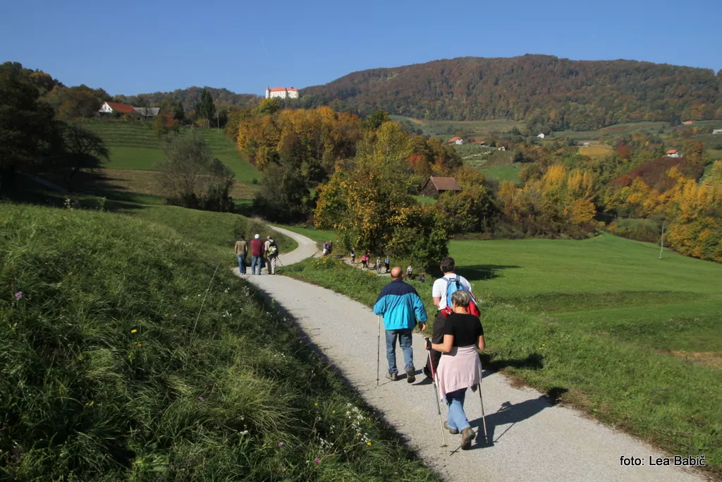 Grajska pot na Bizeljskem