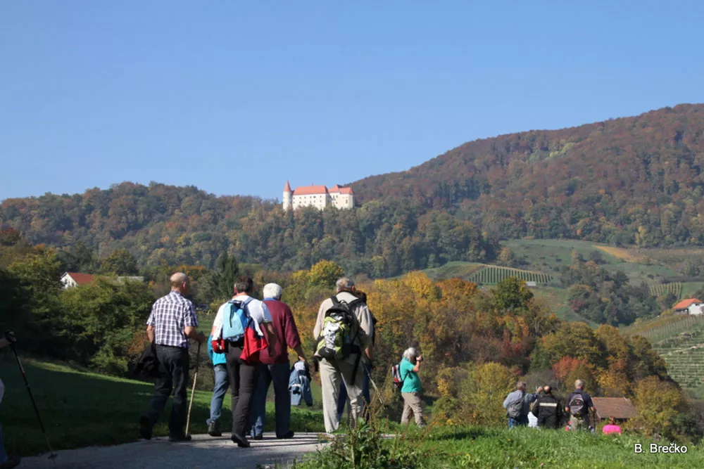 Grajska pot na Bizeljskem