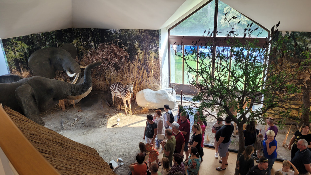 Guided tour in Hunting museum Polovič