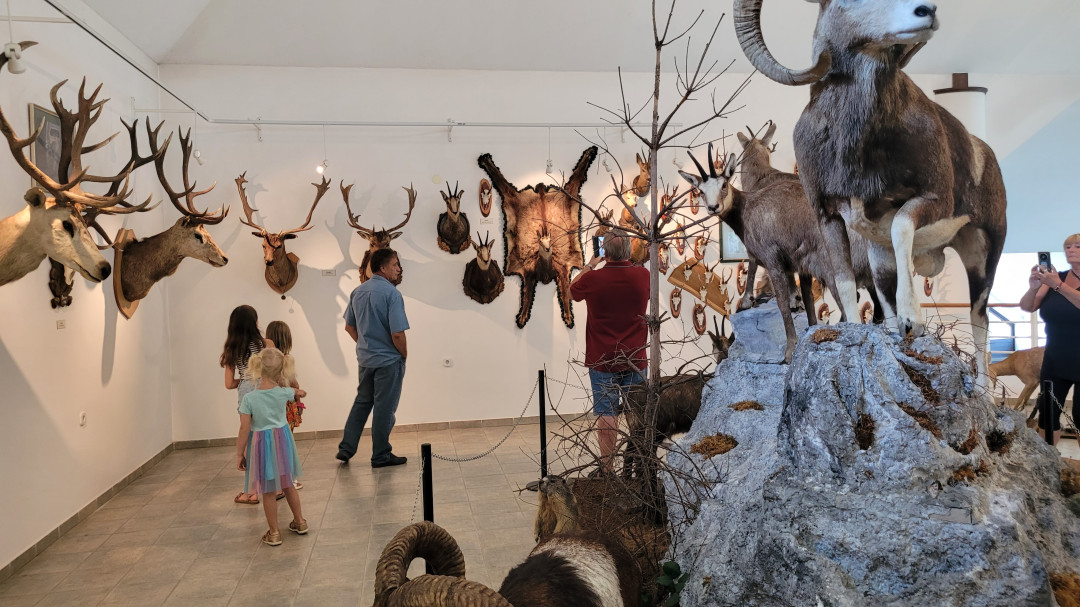 Guided tour in Hunting museum Polovič