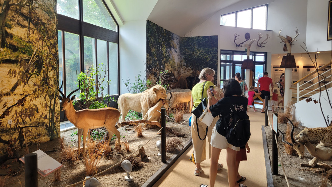 Guided tour in Hunting museum Polovič