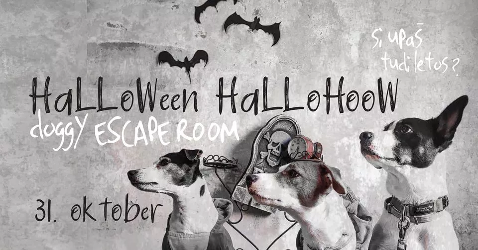 HaLLoween-HalloHoow: doggyESCAPE ROOM