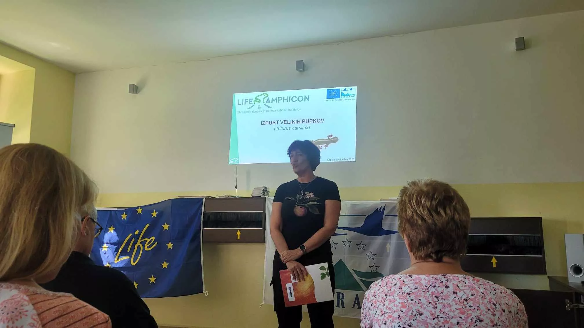 Izpust velikih pupkov v Jovsih