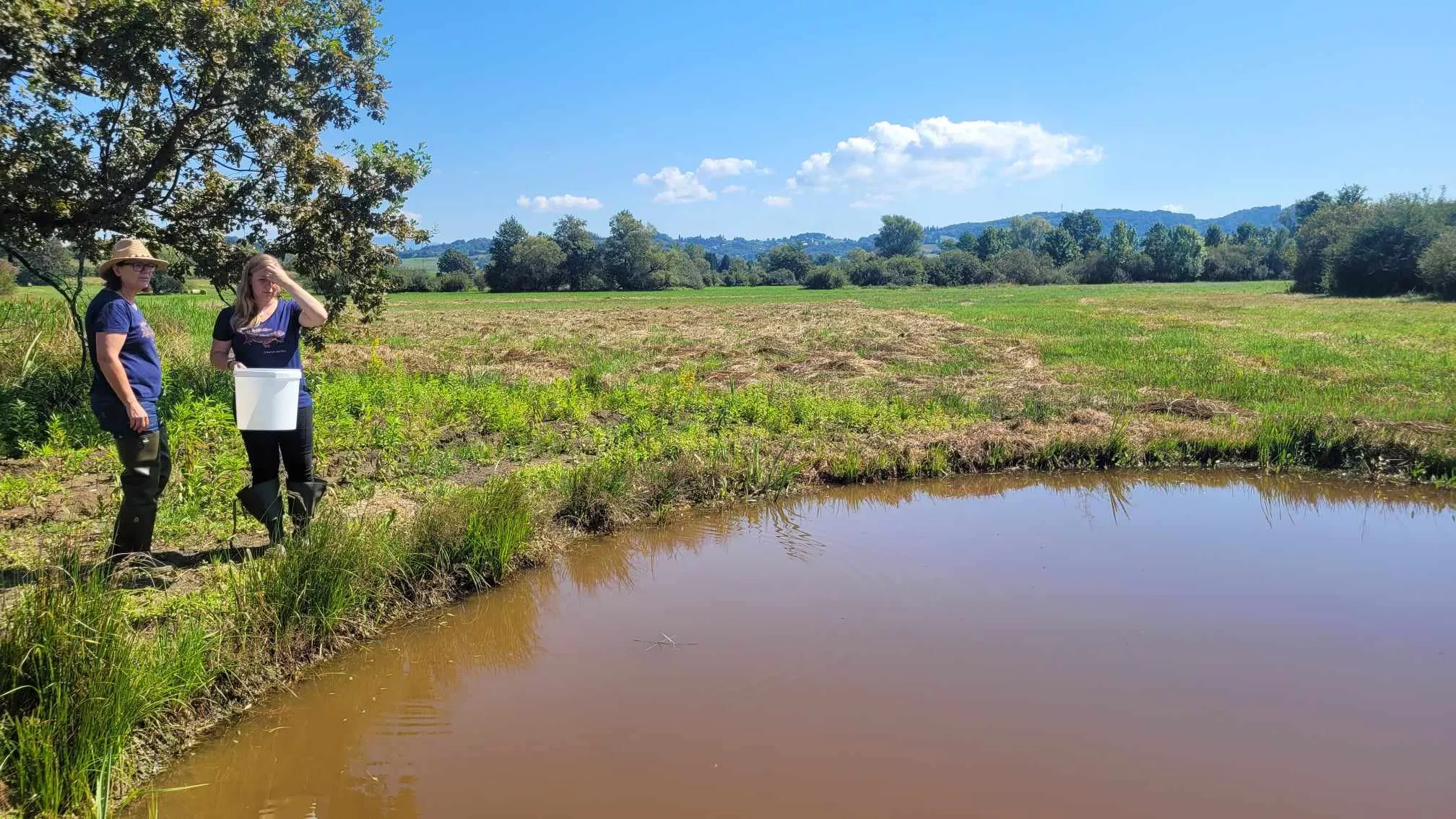 Izpust velikih pupkov v Jovsih