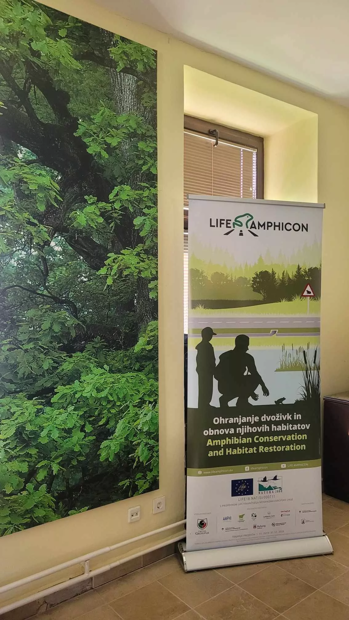 Izpust velikih pupkov v Jovsih