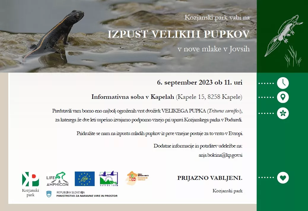 IZPUST VELIKIH PUPKOV v nove mlake v Jovsih