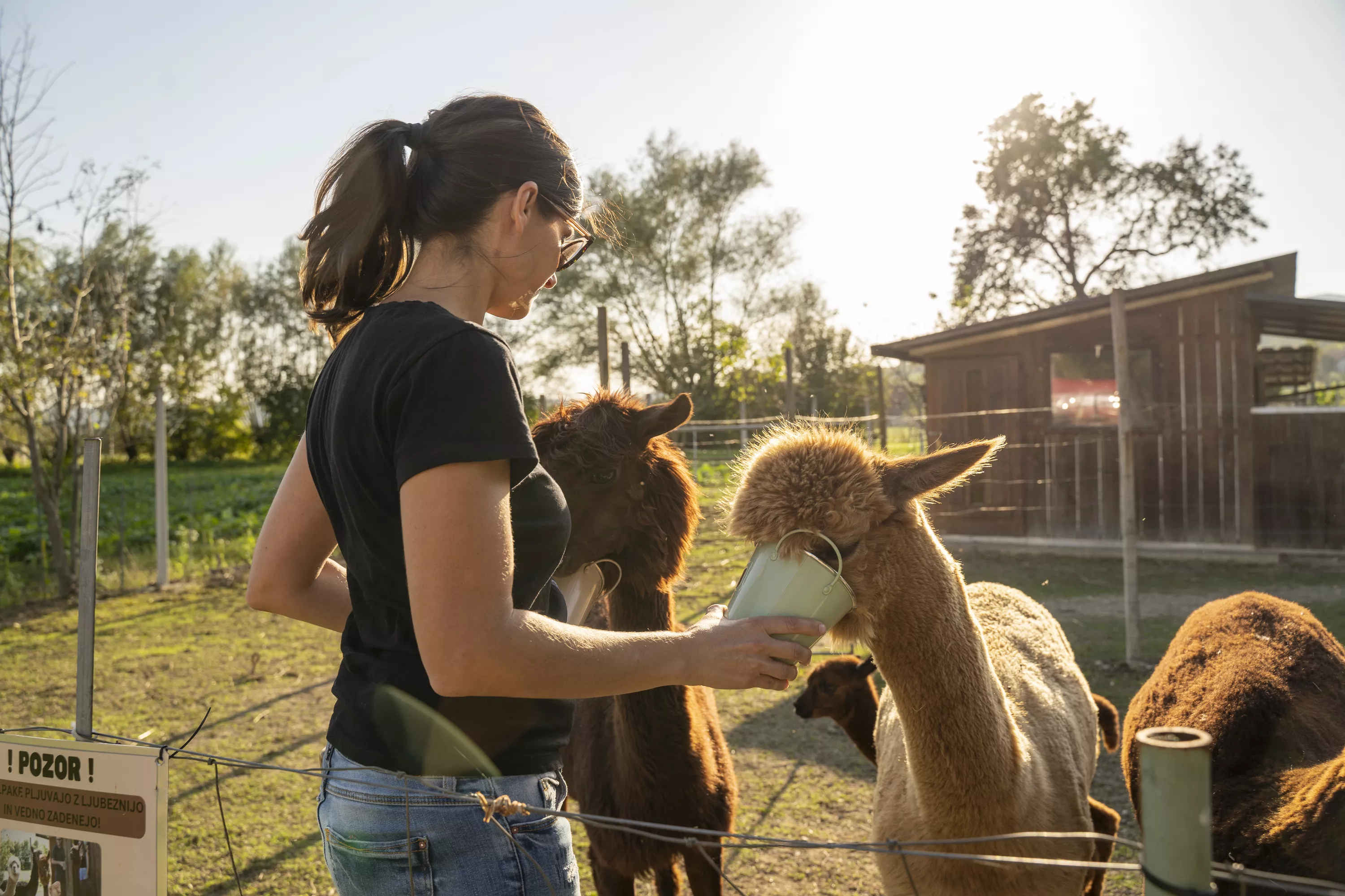 Jesenska doživetja v destinaciji Brežice
