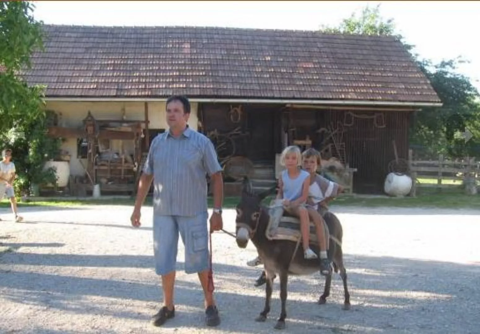 Jezdenje osličkov in konjev