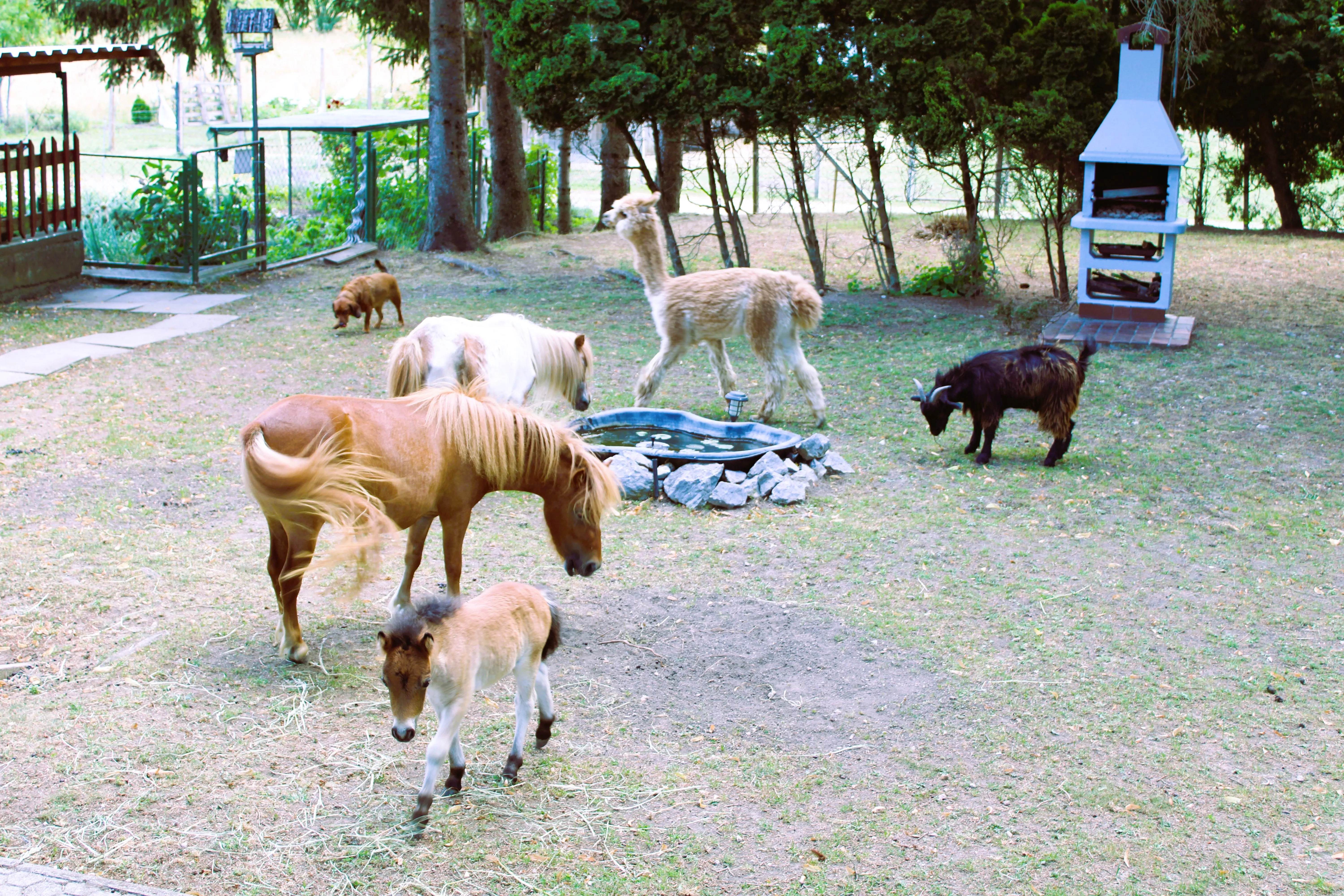 Kaj početi med zimskimi počitnicami v naši destinaciji?