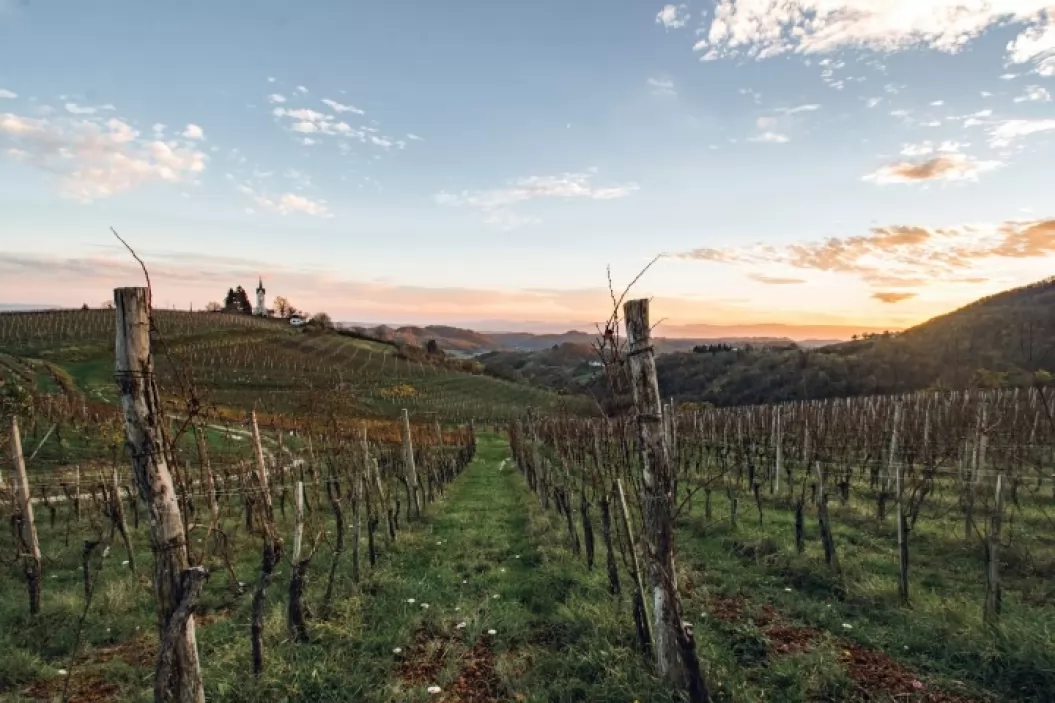 Keltis kmetija Kelhar