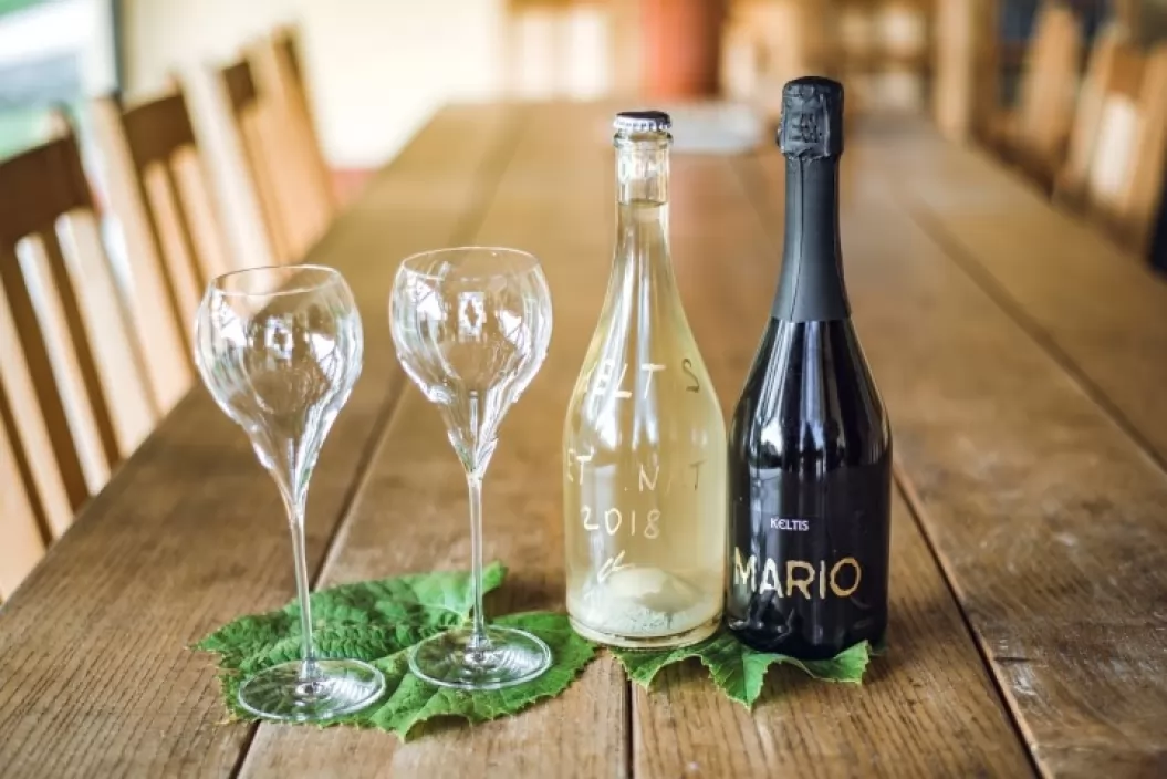 Keltis kmetija Kelhar