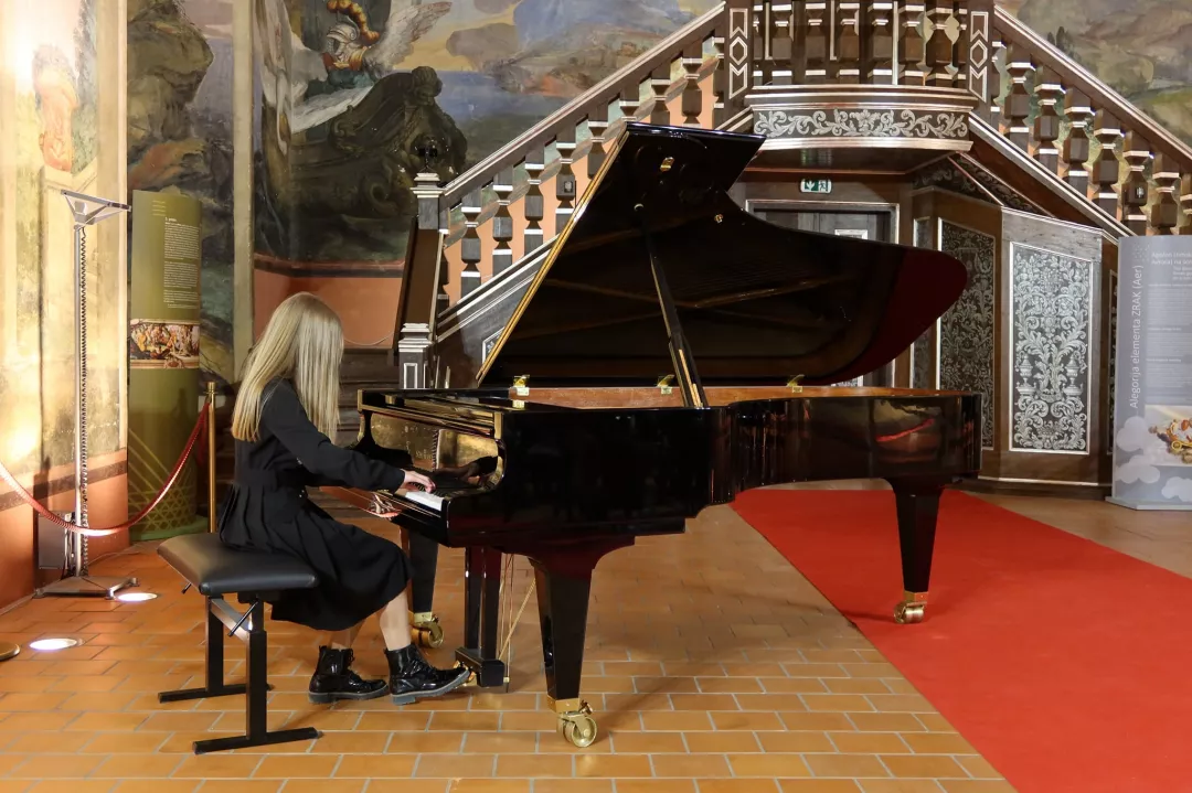 Koncert Glasbenih šol Posavja