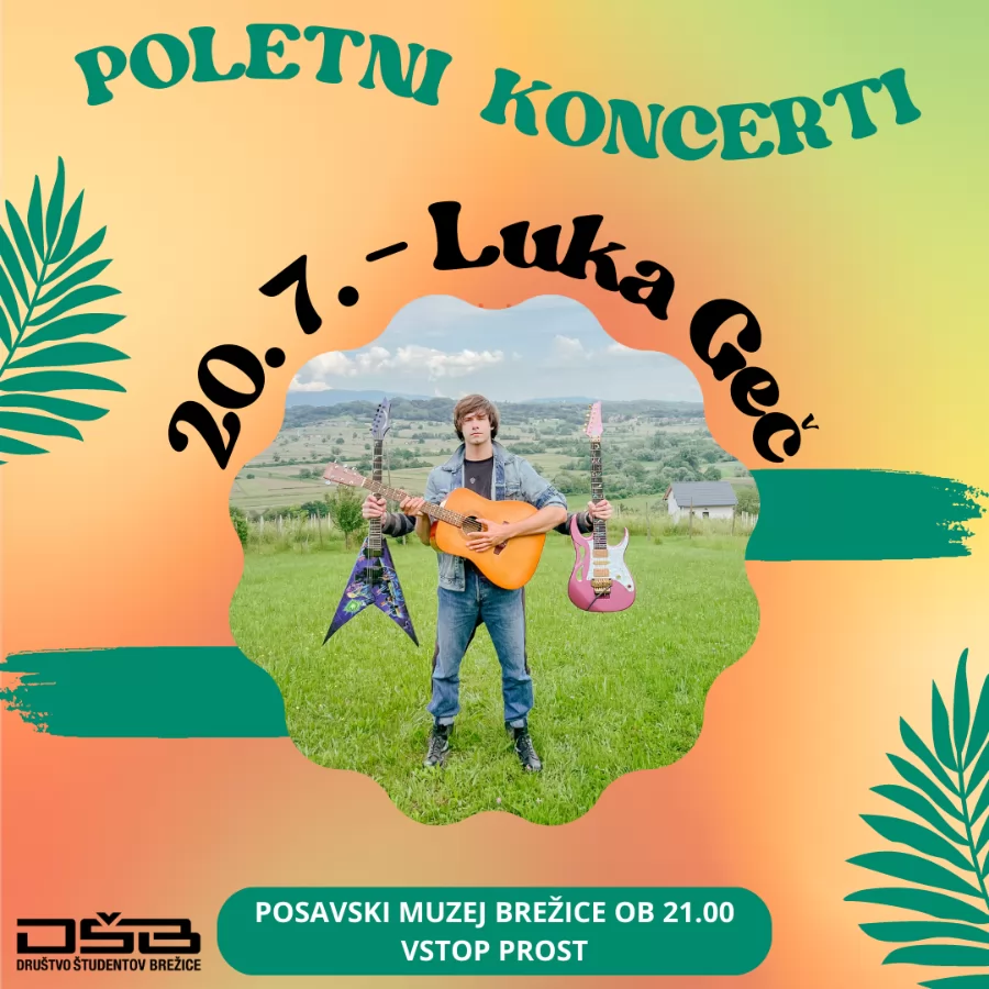 Koncert: Luka Geč