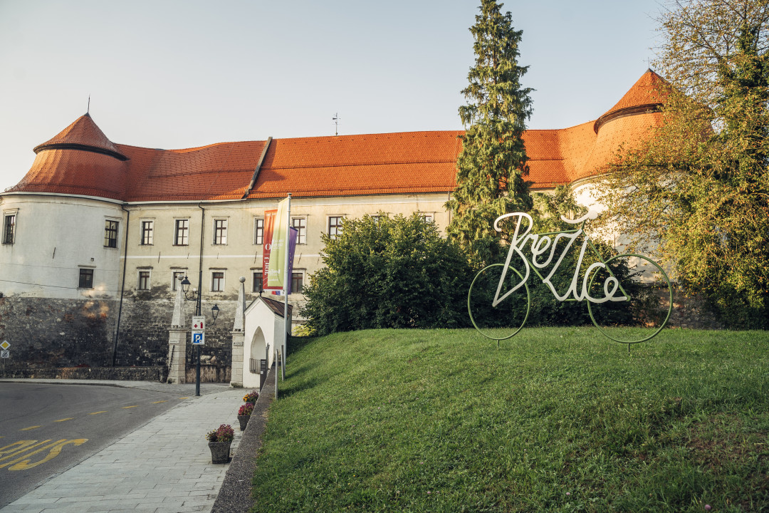 Koncert orkestrov in zbora Glasbene šole Brežice