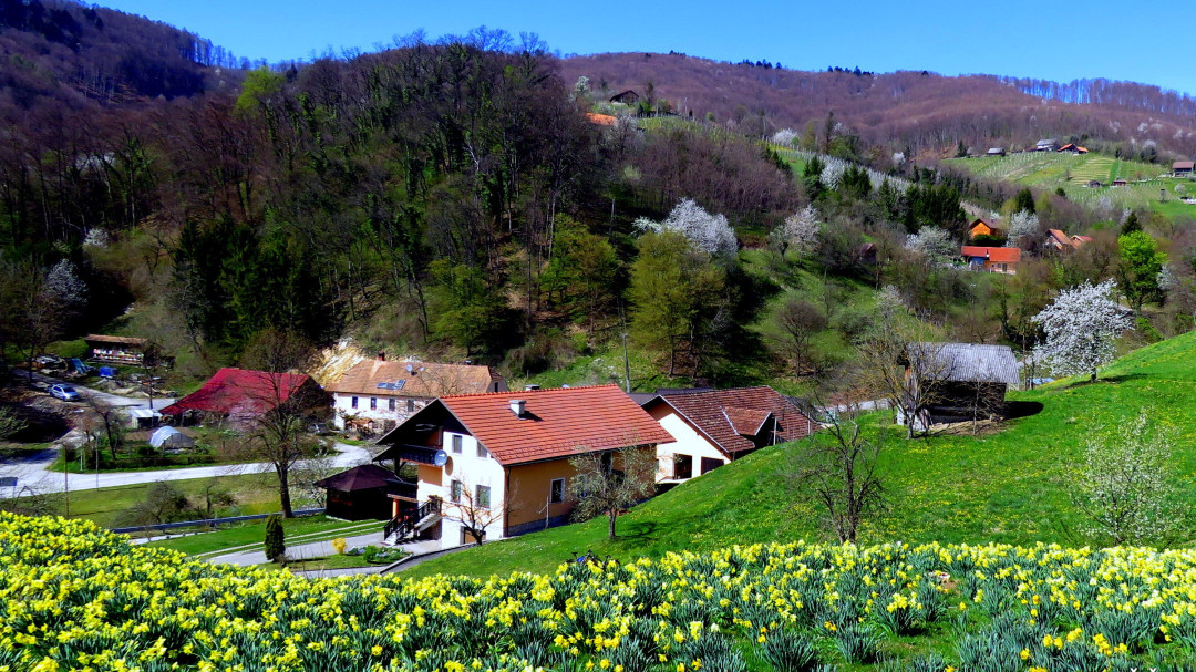 Koncert pevskih zborov