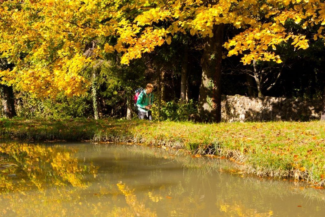 Kozjanski regijski park