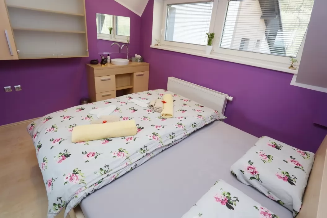 Lux Living Apartments Budič