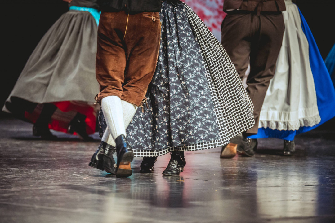 Maroltovo srečanje – Območno srečanje odraslih folklornih skupin 2025