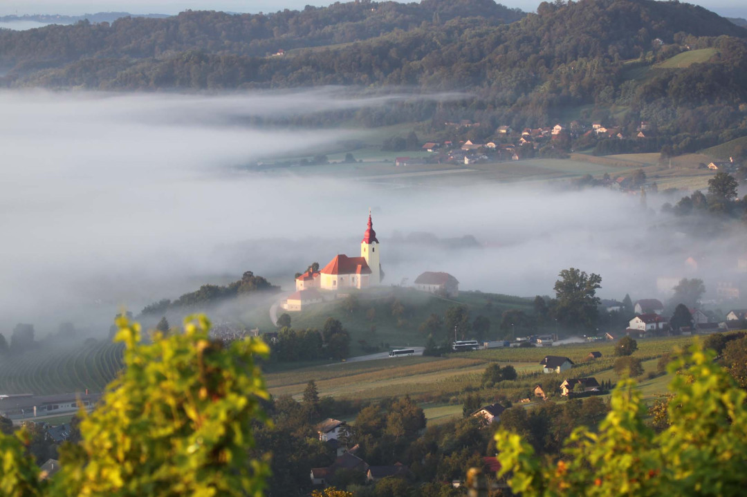 Martinov vikend: Martinovanje na Bizeljskem