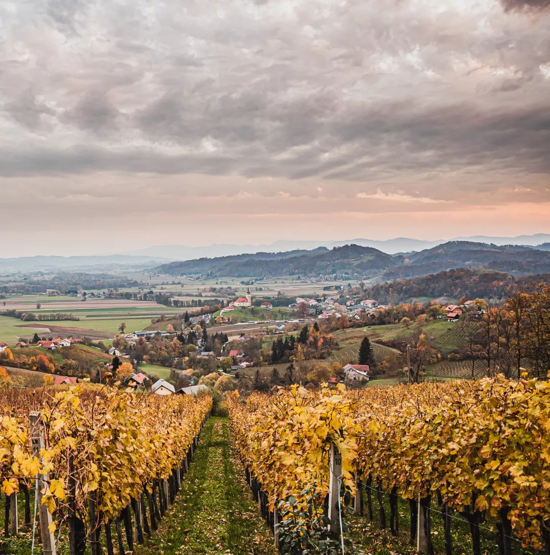 Martinov vikend: Zabava s skupino Džuboks