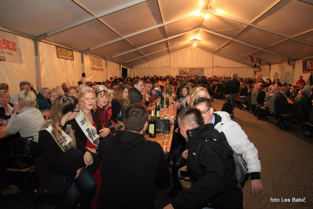 Martinovanje-Bizeljsko-2019-38