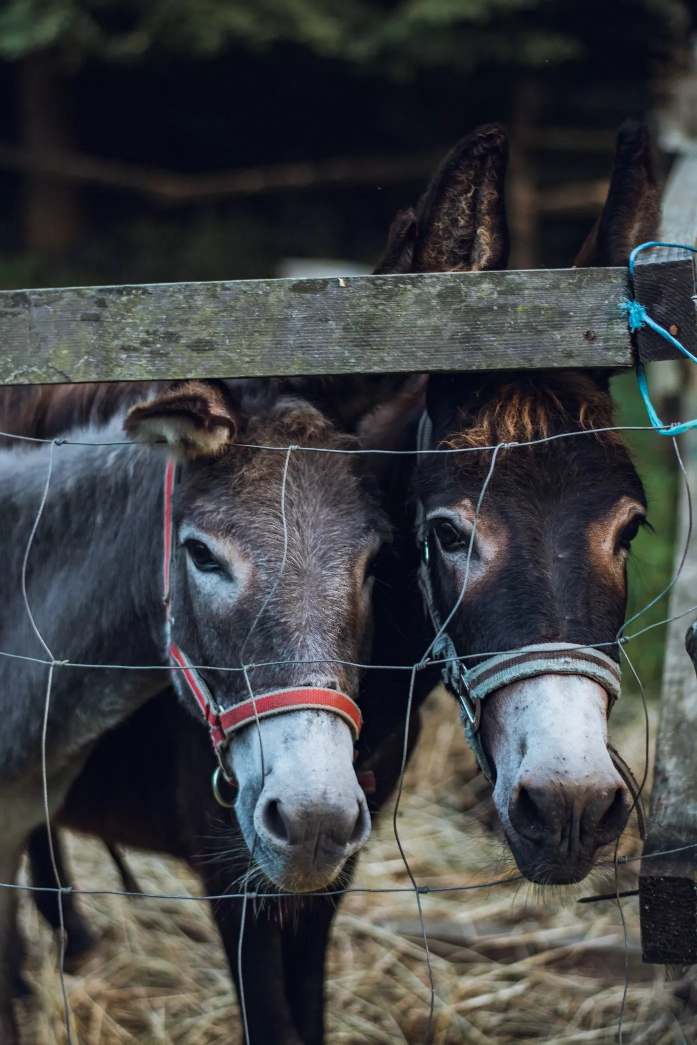 May Day Experiences 2024