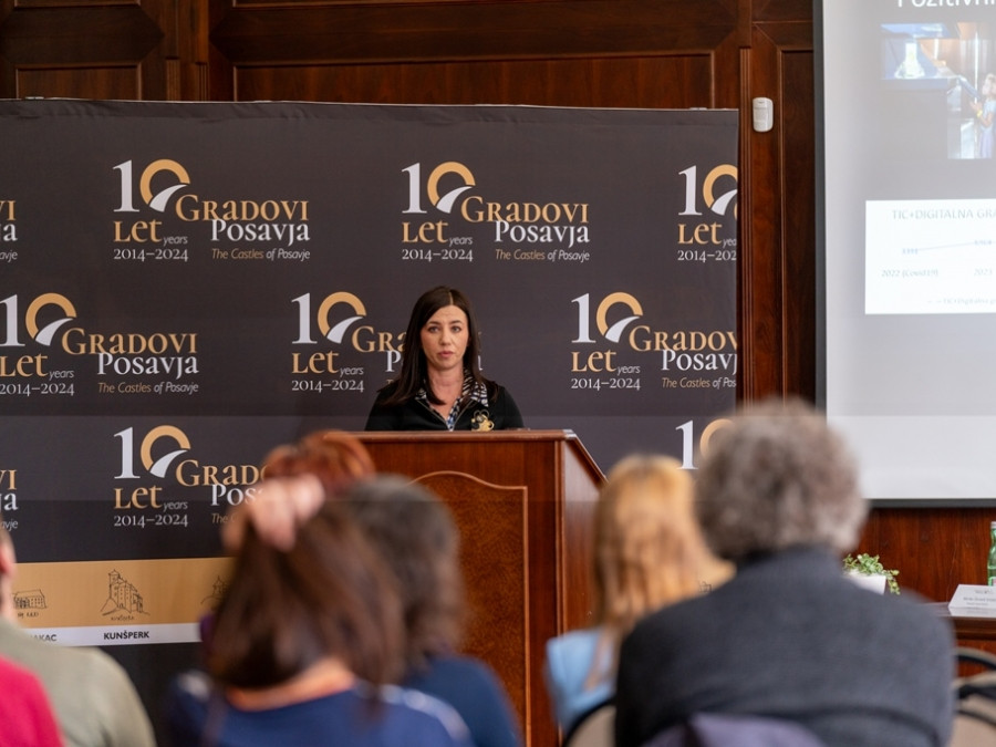 Mednarodna konferenca: Gradovi Posavja – prva dekada