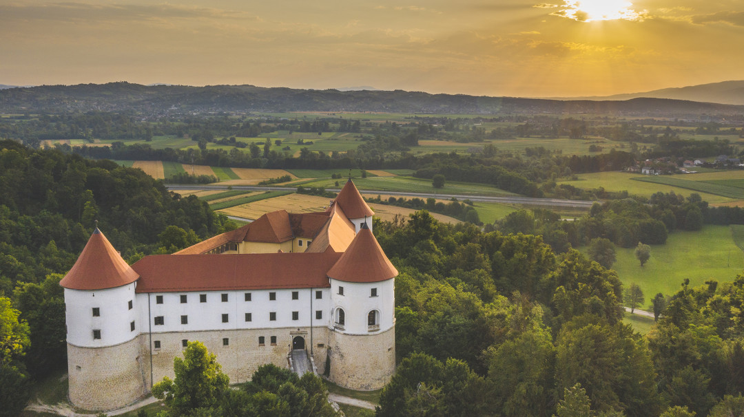 Mednarodna konferenca mreže Gradovi Posavja