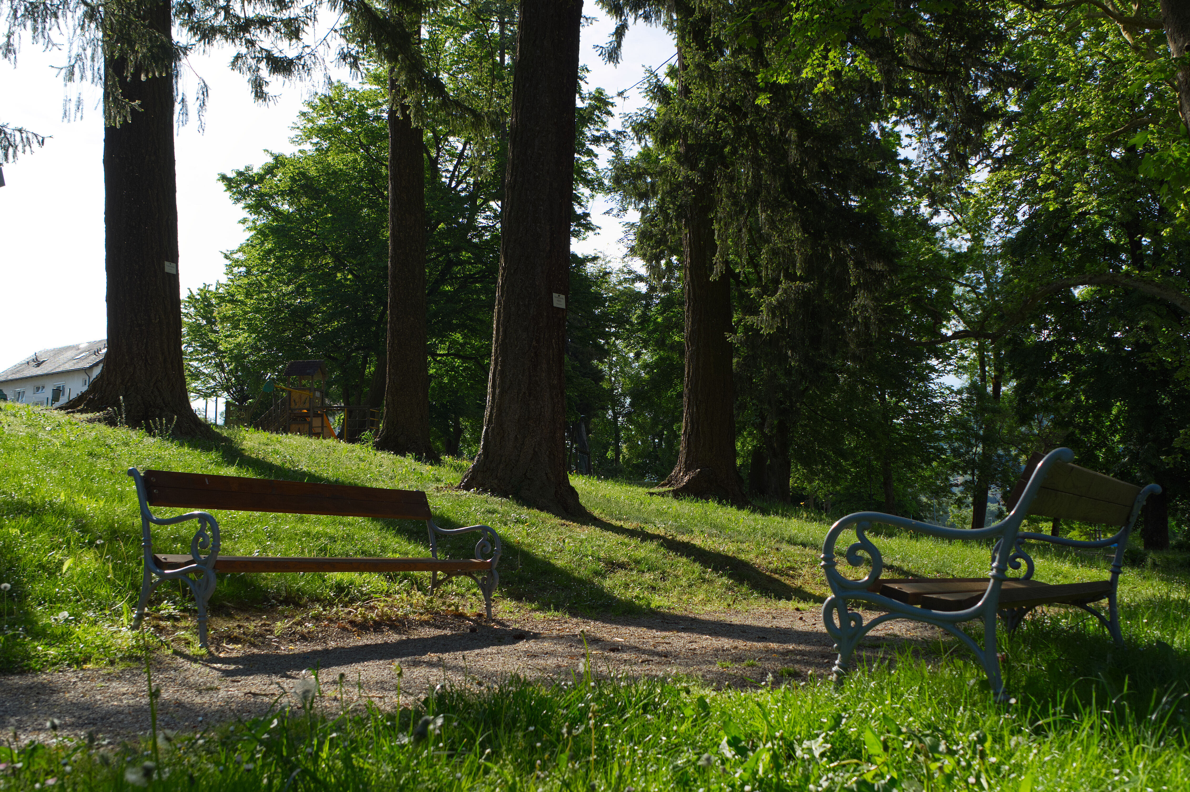 Mestni park in MC Brežice