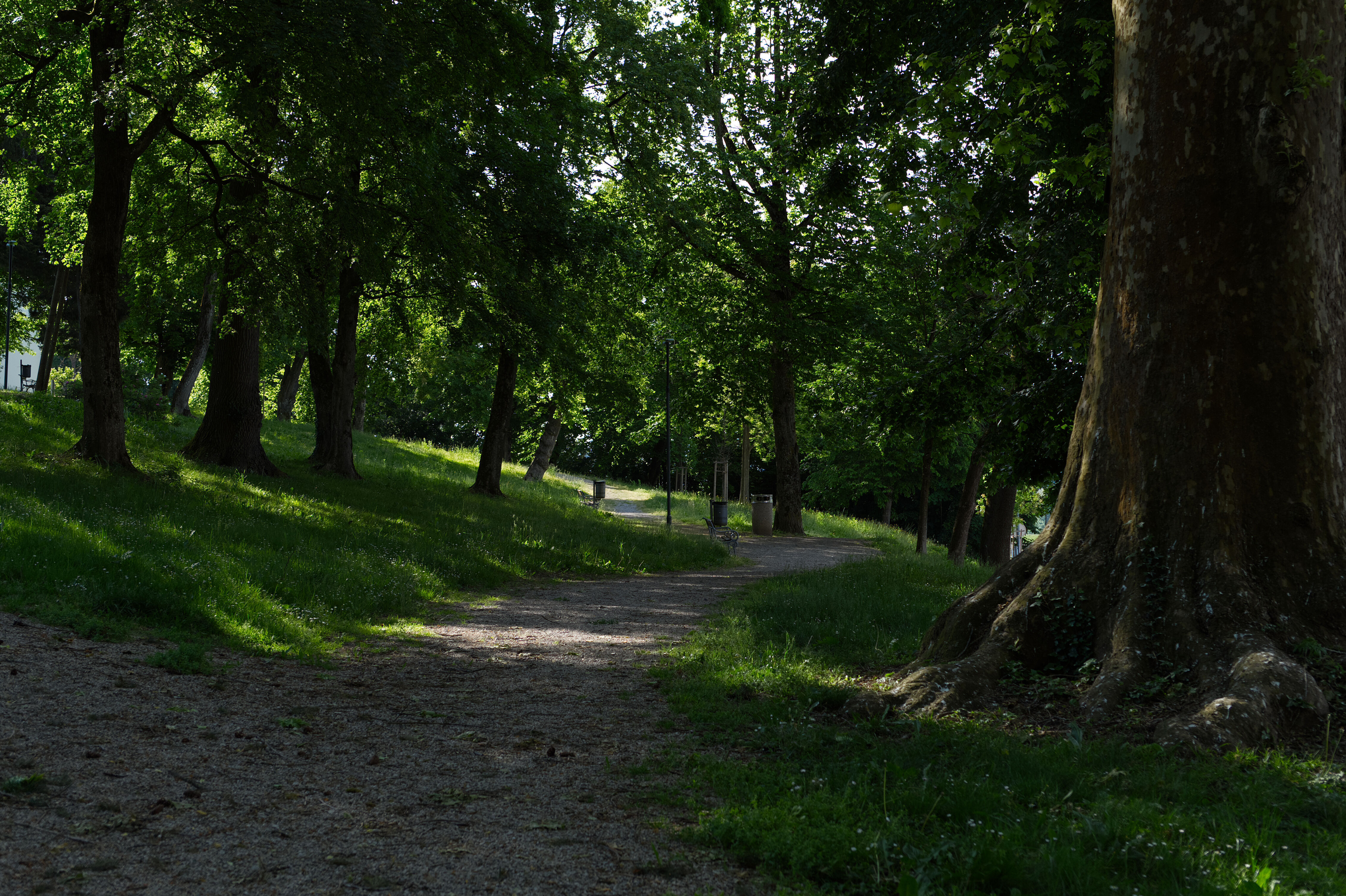 Mestni park in MC Brežice