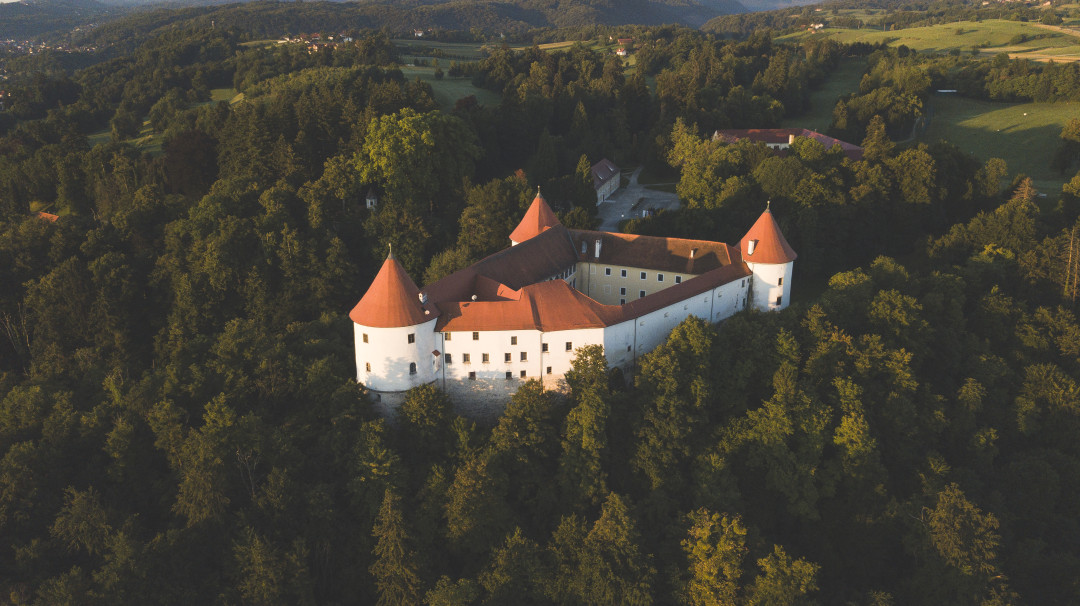 Mokriške zgodbe