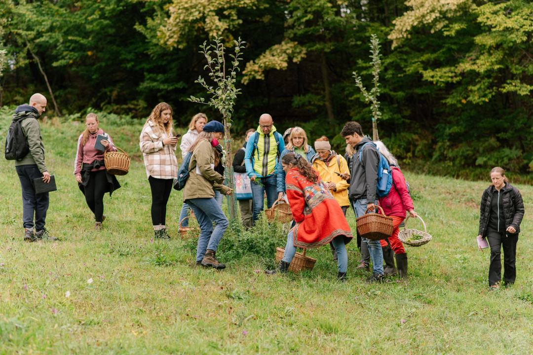 Nabiralniško-kulinarična delavnica ob reki Krki