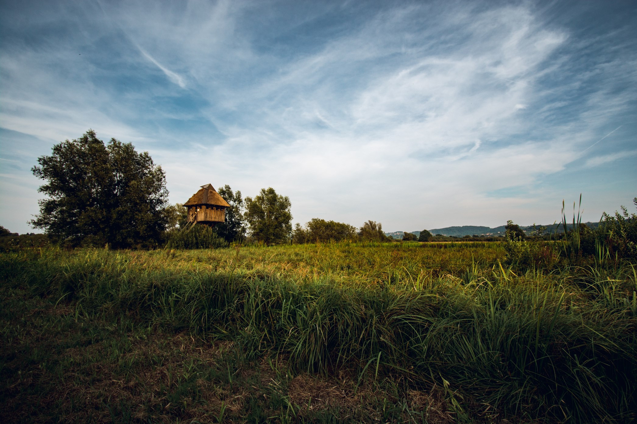 Obeležujemo pomen narave in njenega varovanja