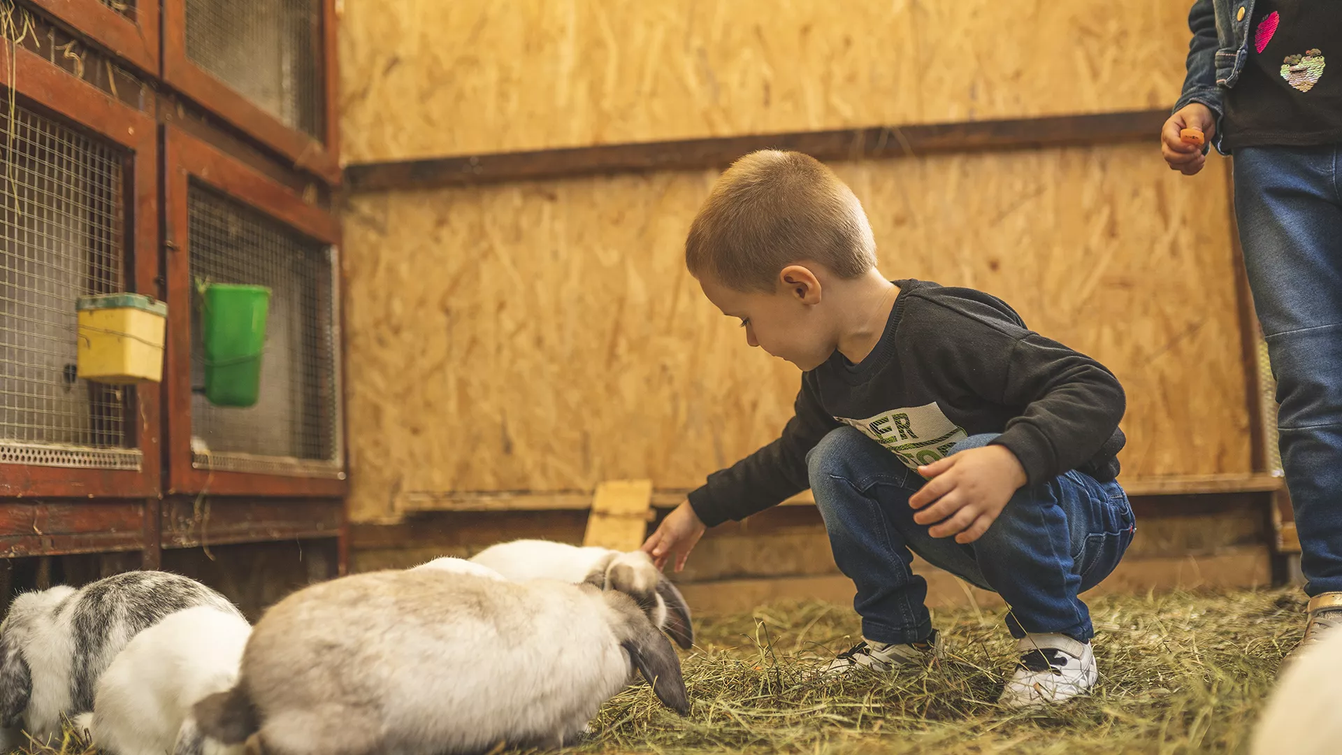 Odprt je Živalski park na Jasi