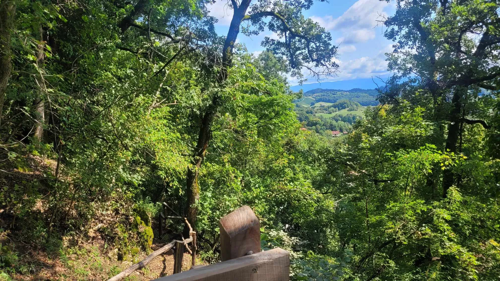 Odprta je nova pot: Koraki za zdravje, znanje in sanje