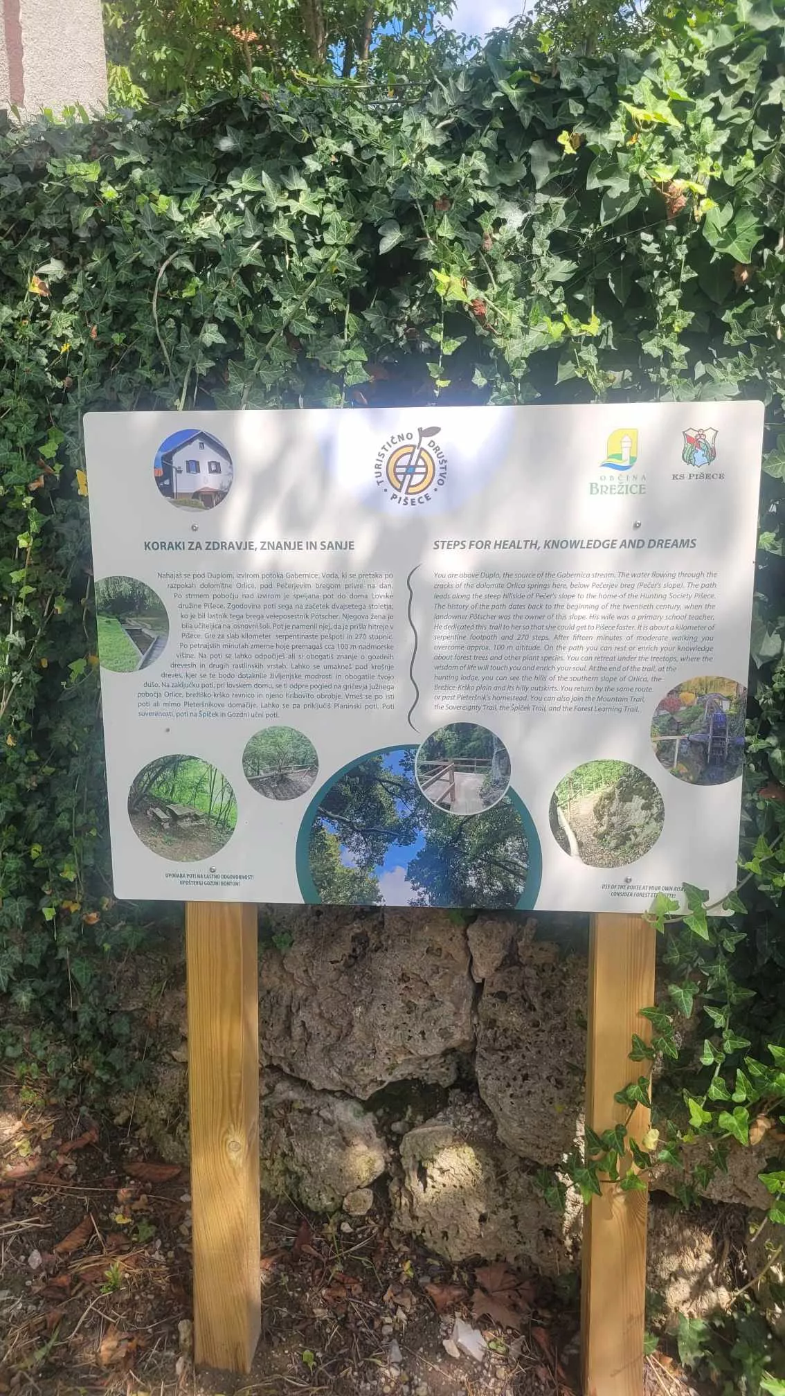 Odprta je nova pot: Koraki za zdravje, znanje in sanje