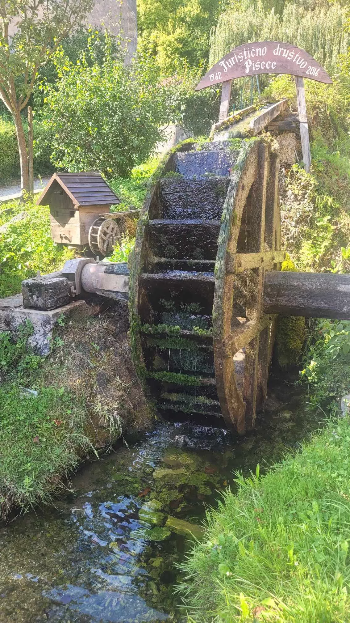 Odprta je nova pot: Koraki za zdravje, znanje in sanje