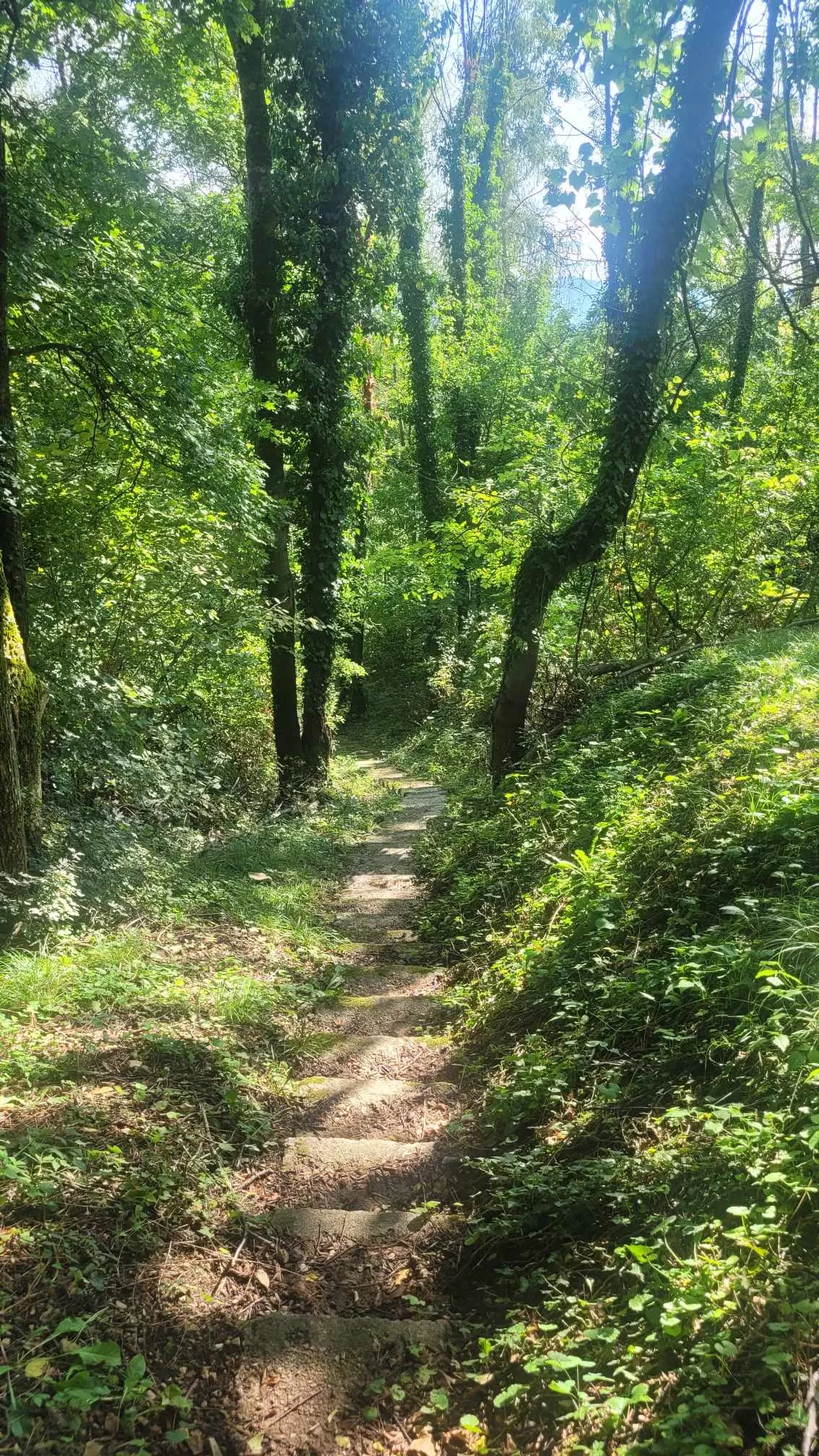 Odprta je nova pot: Koraki za zdravje, znanje in sanje