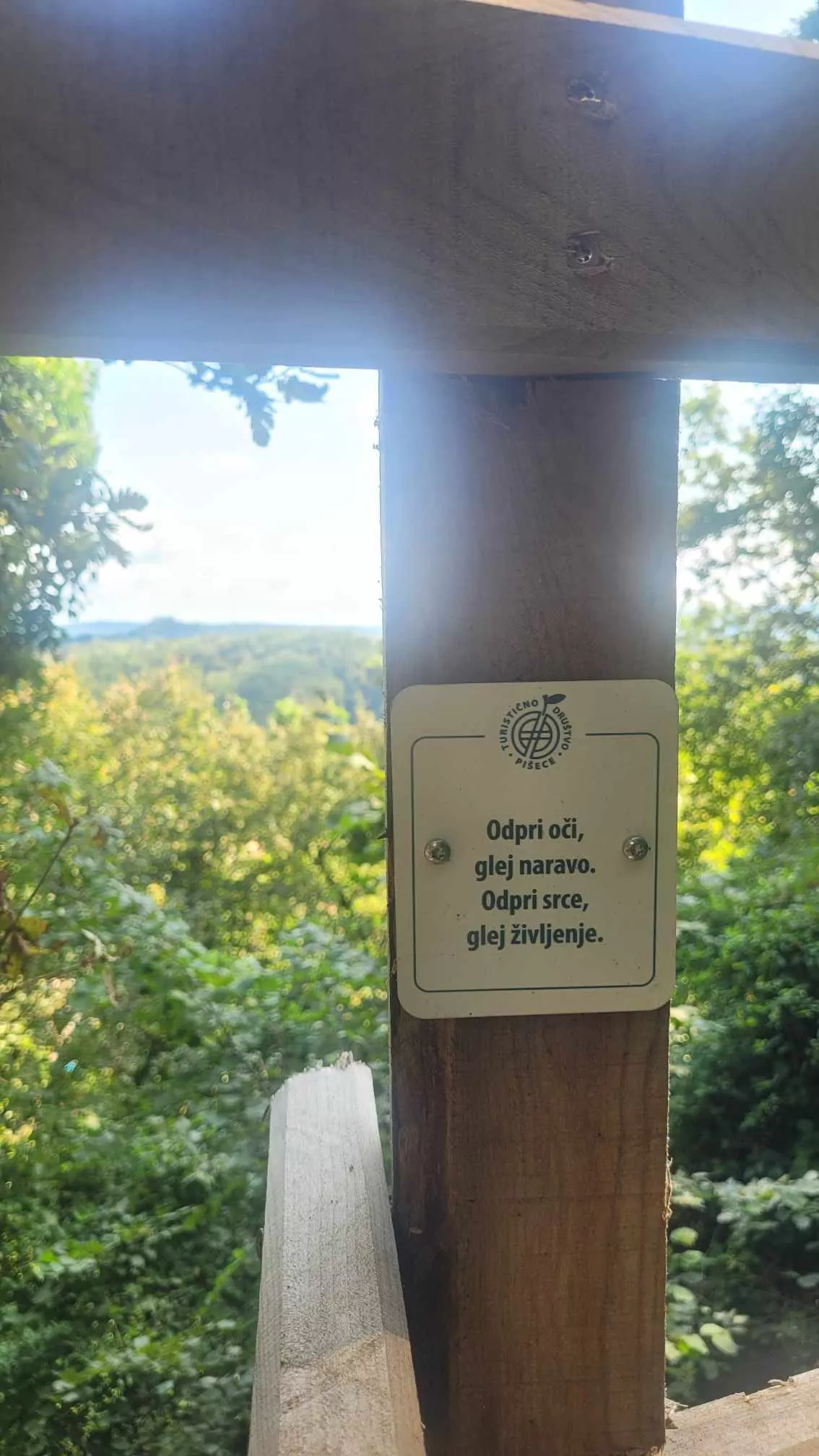 Odprta je nova pot: Koraki za zdravje, znanje in sanje