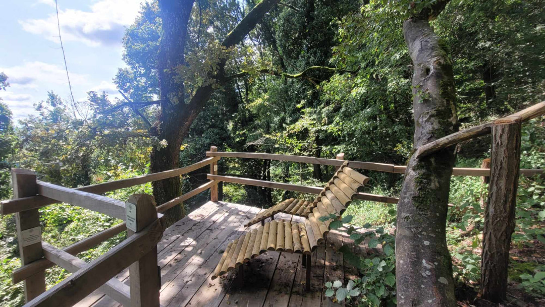 Odprta je nova pot: Koraki za zdravje, znanje in sanje