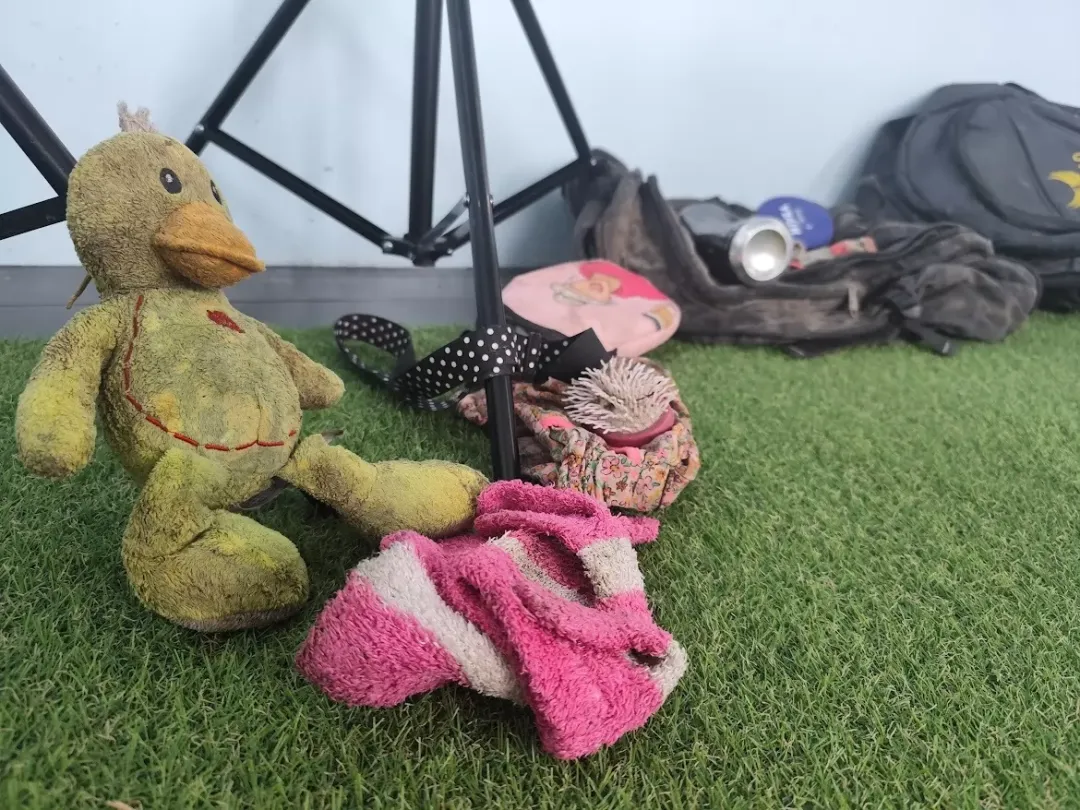 Odprtje gostujoče razstave: NA VRTU (NE)VIDNIH