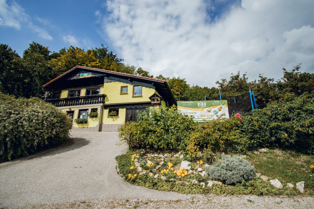 Okrepčevalnica Riba in pol, Kranjčič Ana