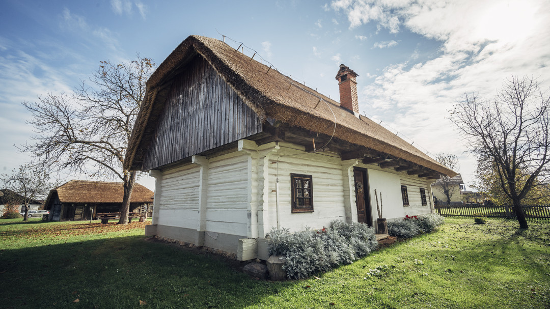 Okusimo dediščino Banove domačije - vodenje po domačiji in sadjarski zbirki Posavja