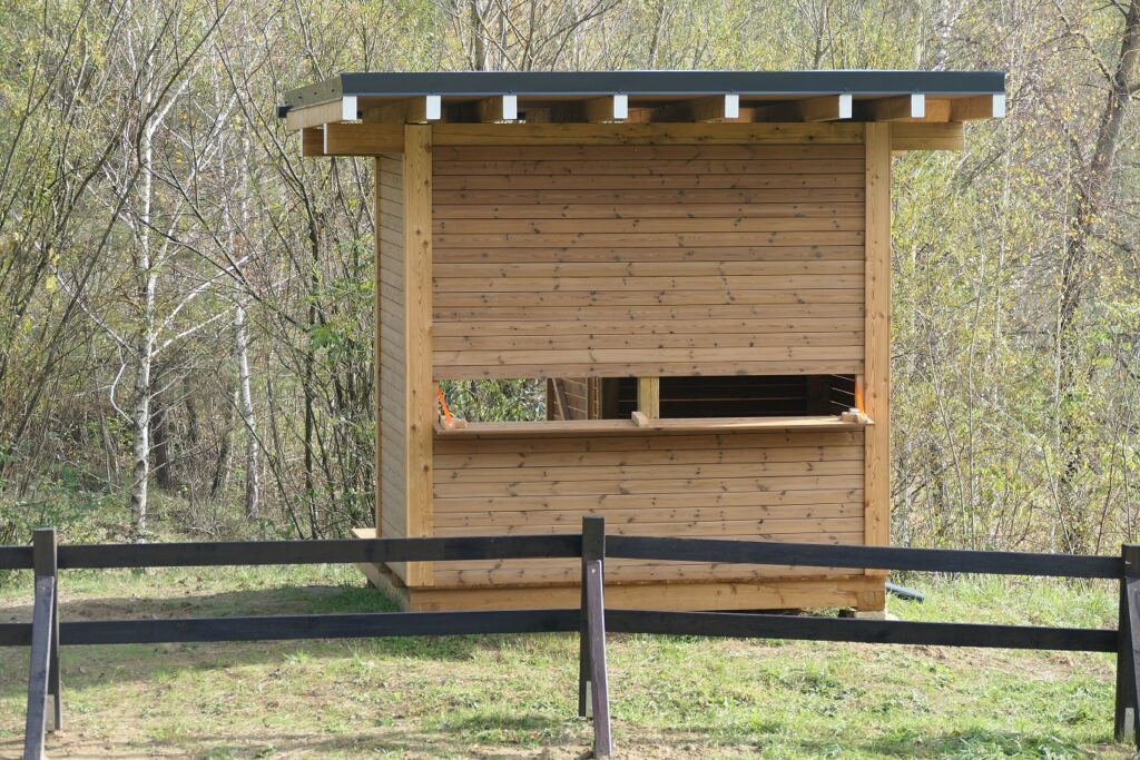 Opazovanje in fotografiranje ptiča čebelarja