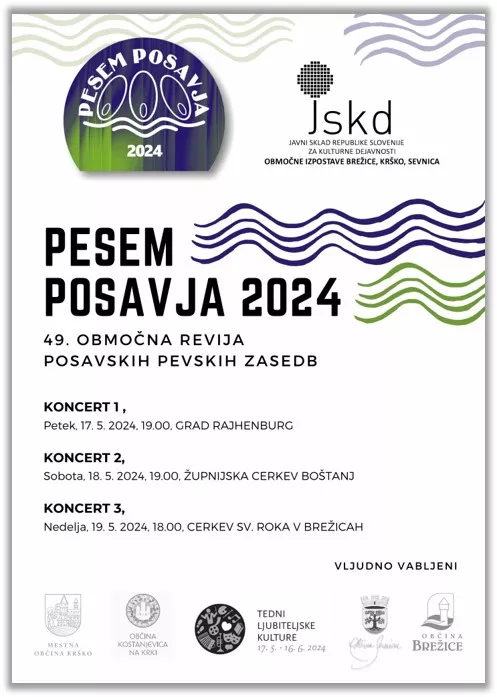 Pesem Posavja 2024