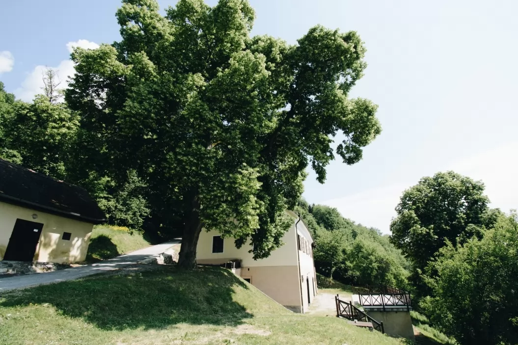 Pleteršnikova domačija Pišece