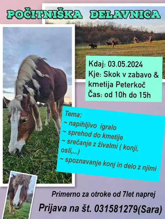 Počitniška delavnica z živalmi